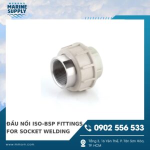 ĐẦU NỐI CHUYỂN BẰNG NHỰA ISO-BSP FITTINGS FOR SOCKET WELDING